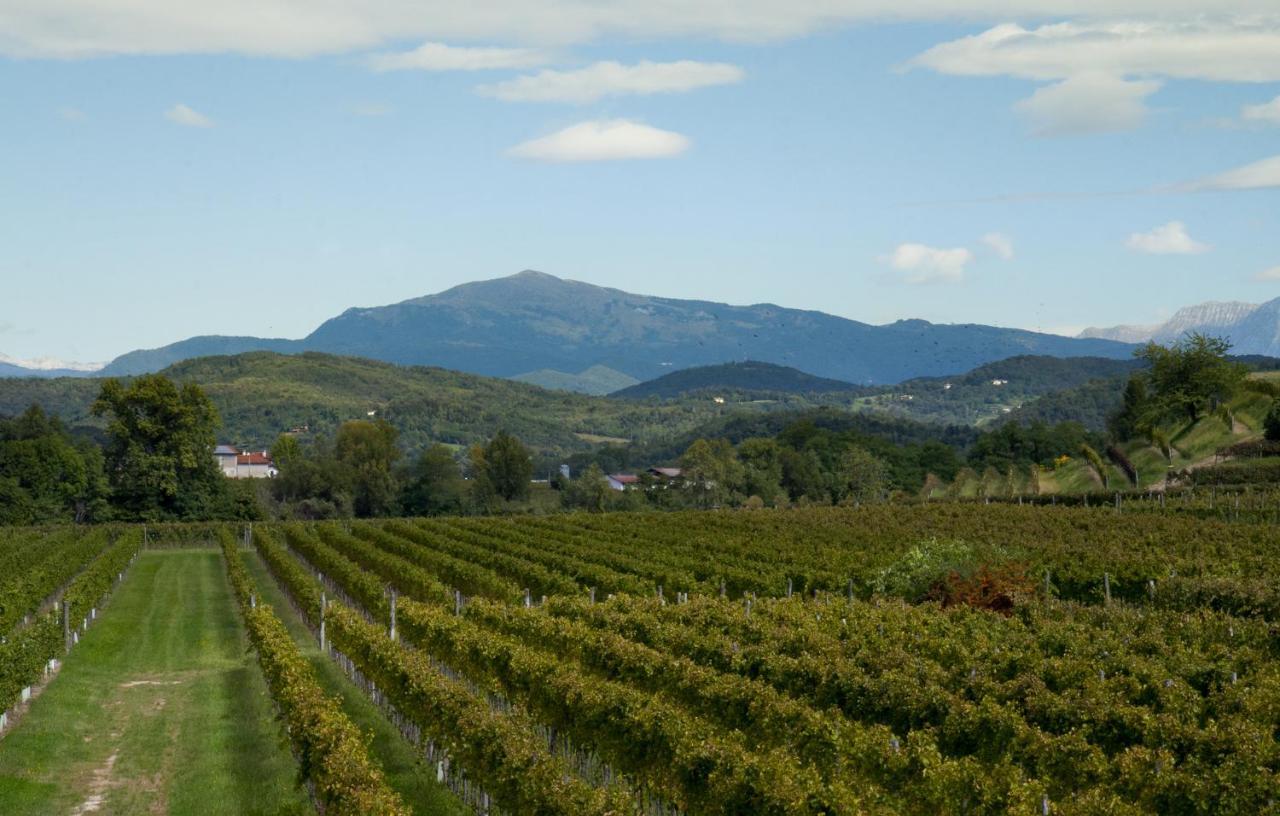 Corno di Rosazzo Alloggio Agrituristico Corte San Biagio المظهر الخارجي الصورة