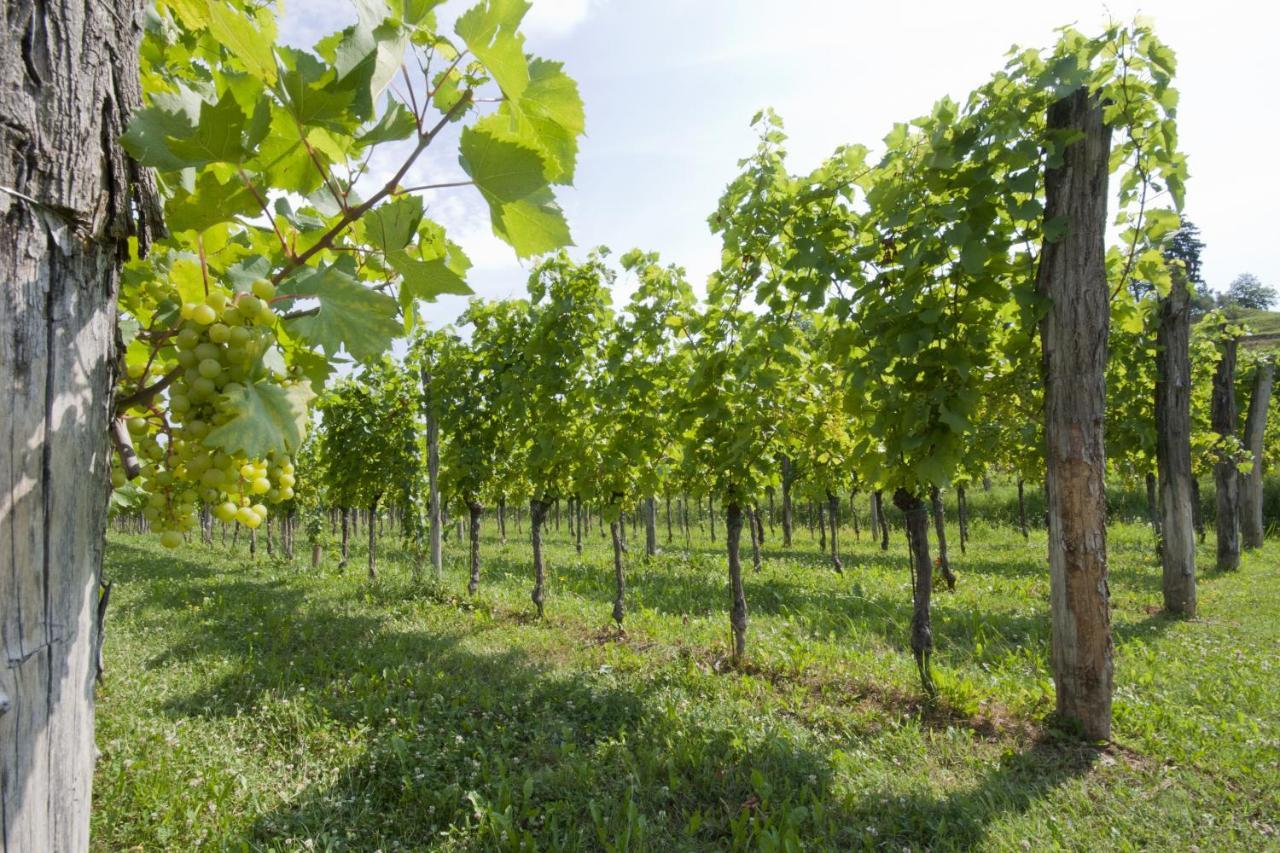 Corno di Rosazzo Alloggio Agrituristico Corte San Biagio المظهر الخارجي الصورة