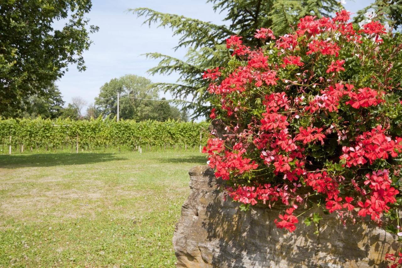 Corno di Rosazzo Alloggio Agrituristico Corte San Biagio المظهر الخارجي الصورة